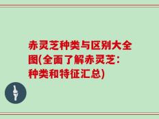 赤灵芝种类与区别大全图(全面了解赤灵芝：种类和特征汇总)