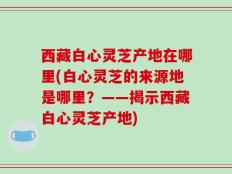 西藏白心灵芝产地在哪里(白心灵芝的来源地是哪里？——揭示西藏白心灵芝产地)