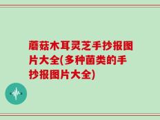 蘑菇木耳灵芝手抄报图片大全(多种菌类的手抄报图片大全)