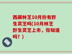 西藏林芝10月份有野生灵芝吗(10月林芝野生灵芝上市，你知道吗？)