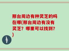 邢台周边有种灵芝的吗在哪(邢台周边有没有灵芝？哪里可以找到？)