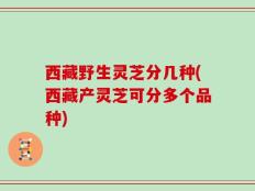 西藏野生灵芝分几种(西藏产灵芝可分多个品种)