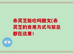 赤灵芝能吃吗图文(赤灵芝的食用方式与禁忌都在这里！