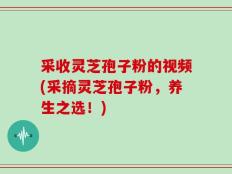 采收灵芝孢子粉的视频(采摘灵芝孢子粉，养生之选！)