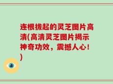 连根拔起的灵芝图片高清(高清灵芝图片揭示神奇功效，震撼人心！)