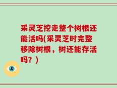 采灵芝挖走整个树根还能活吗(采灵芝时完整移除树根，树还能存活吗？)