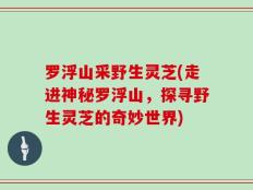 罗浮山采野生灵芝(走进神秘罗浮山，探寻野生灵芝的奇妙世界)