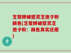 芝蔻牌破壁灵芝孢子粉颜色(芝蔻牌破壁灵芝孢子粉：颜色真实还原)