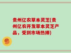 贵州亿农草本灵芝(贵州亿农开发草本灵芝产品，受到市场热捧)
