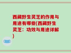 西藏野生灵芝的作用与用途有哪些(西藏野生灵芝：功效与用途详解)