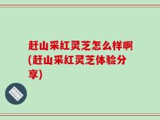 赶山采红灵芝怎么样啊(赶山采红灵芝体验分享)