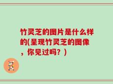 竹灵芝的图片是什么样的(呈现竹灵芝的图像，你见过吗？)
