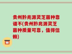 贵州黔兆源灵芝菌种靠谱不(贵州黔兆源灵芝菌种质量可靠，值得信赖)