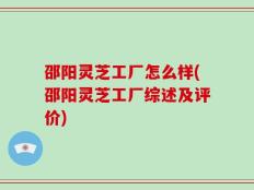邵阳灵芝工厂怎么样(邵阳灵芝工厂综述及评价)