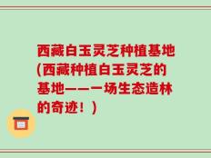 西藏白玉灵芝种植基地(西藏种植白玉灵芝的基地——一场生态造林的奇迹！)