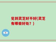 见到灵芝好不好(灵芝有哪些好处？)