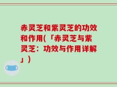 赤灵芝和紫灵芝的功效和作用(「赤灵芝与紫灵芝：功效与作用详解」)