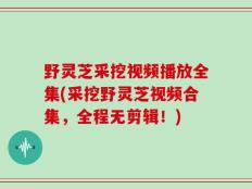野灵芝采挖视频播放全集(采挖野灵芝视频合集，全程无剪辑！)