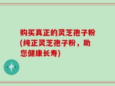 购买真正的灵芝孢子粉(纯正灵芝孢子粉，助您健康长寿)