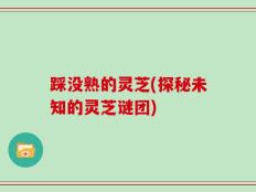 踩没熟的灵芝(探秘未知的灵芝谜团)