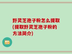 野灵芝孢子粉怎么提取(提取野灵芝孢子粉的方法简介)
