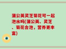 蒲公英灵芝菊花可一起泡水吗(蒲公英、灵芝、菊花合泡，营养更丰富)