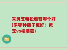 采灵芝和松蘑菇哪个好(采哪种菌子更好：灵芝vs松蘑菇)