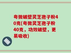 粤微破壁灵芝孢子粉40克(粤微灵芝孢子粉40克，功效破壁，更易吸收)