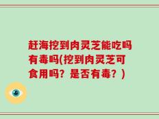 赶海挖到肉灵芝能吃吗有毒吗(挖到肉灵芝可食用吗？是否有毒？)