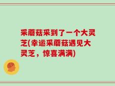 采蘑菇采到了一个大灵芝(幸运采蘑菇遇见大灵芝，惊喜满满)