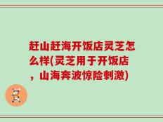 赶山赶海开饭店灵芝怎么样(灵芝用于开饭店，山海奔波惊险刺激)