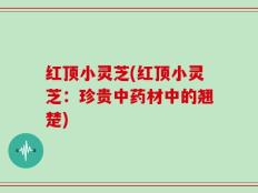 红顶小灵芝(红顶小灵芝：珍贵中药材中的翘楚)