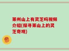 莱州山上有灵芝吗视频介绍(探寻莱山上的灵芝奇观)