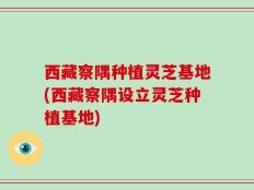 西藏察隅种植灵芝基地(西藏察隅设立灵芝种植基地)