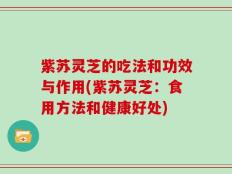 紫苏灵芝的吃法和功效与作用(紫苏灵芝：食用方法和健康好处)