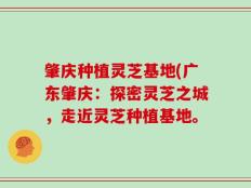 肇庆种植灵芝基地(广东肇庆：探密灵芝之城，走近灵芝种植基地。