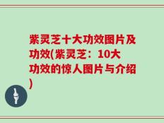紫灵芝十大功效图片及功效(紫灵芝：10大功效的惊人图片与介绍)