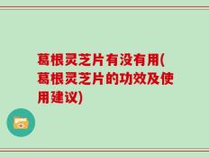 葛根灵芝片有没有用(葛根灵芝片的功效及使用建议)