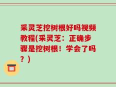 采灵芝挖树根好吗视频教程(采灵芝：正确步骤是挖树根！学会了吗？)