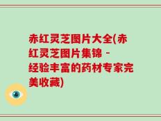 赤红灵芝图片大全(赤红灵芝图片集锦 - 经验丰富的药材专家完美收藏)