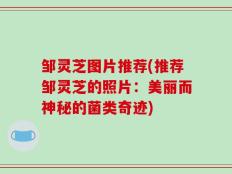 邹灵芝图片推荐(推荐邹灵芝的照片：美丽而神秘的菌类奇迹)