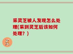采灵芝被人发现怎么处理(采到灵芝后该如何处理？)