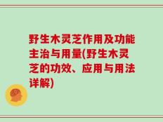 野生木灵芝作用及功能主治与用量(野生木灵芝的功效、应用与用法详解)