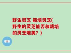 野生灵芝 栽培灵芝(野生的灵芝能否和栽培的灵芝媲美？)