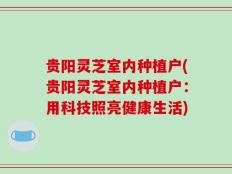 贵阳灵芝室内种植户(贵阳灵芝室内种植户：用科技照亮健康生活)