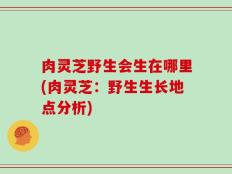 肉灵芝野生会生在哪里(肉灵芝：野生生长地点分析)