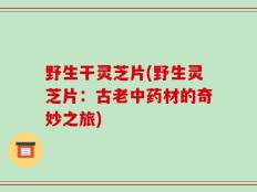 野生干灵芝片(野生灵芝片：古老中药材的奇妙之旅)
