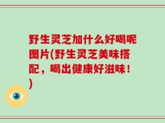 野生灵芝加什么好喝呢图片(野生灵芝美味搭配，喝出健康好滋味！)