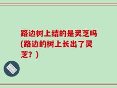 路边树上结的是灵芝吗(路边的树上长出了灵芝？)