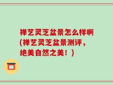 禅艺灵芝盆景怎么样啊(禅艺灵芝盆景测评，绝美自然之美！)